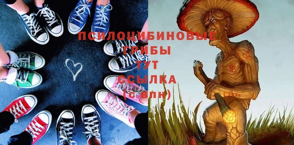 гашик Алексин