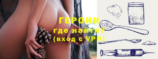 гашик Алексин