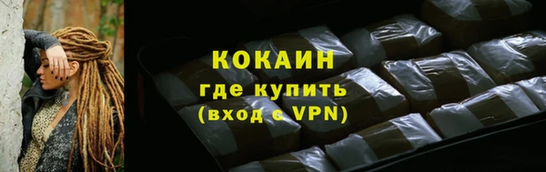 гашик Алексин