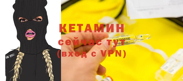 гашик Алексин