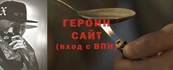 гашик Алексин