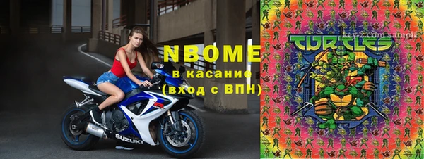 гашик Алексин