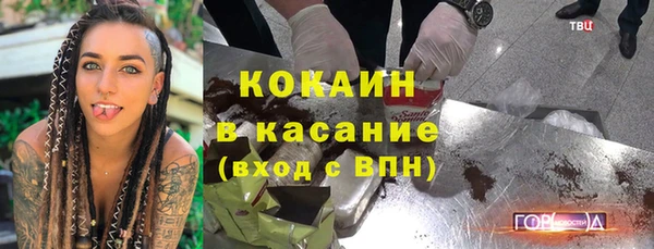 гашик Алексин