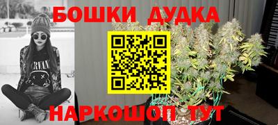 индика Изобильный