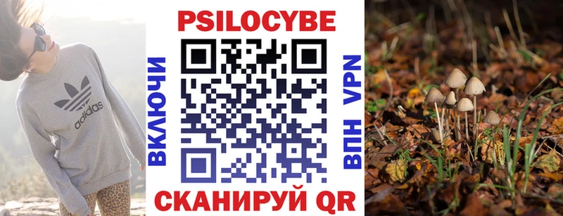 Псилоцибиновые грибы Cubensis  магазин  наркотиков  Мыски 