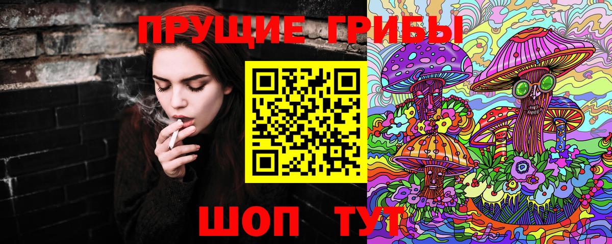 Галлюциногенные грибы Psilocybine cubensis  Вход с VPN  Мыски 